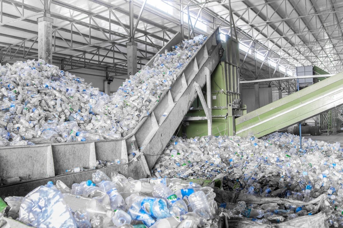 Прибыльная переработка: бизнес в сфере рециклинга в 2020 году